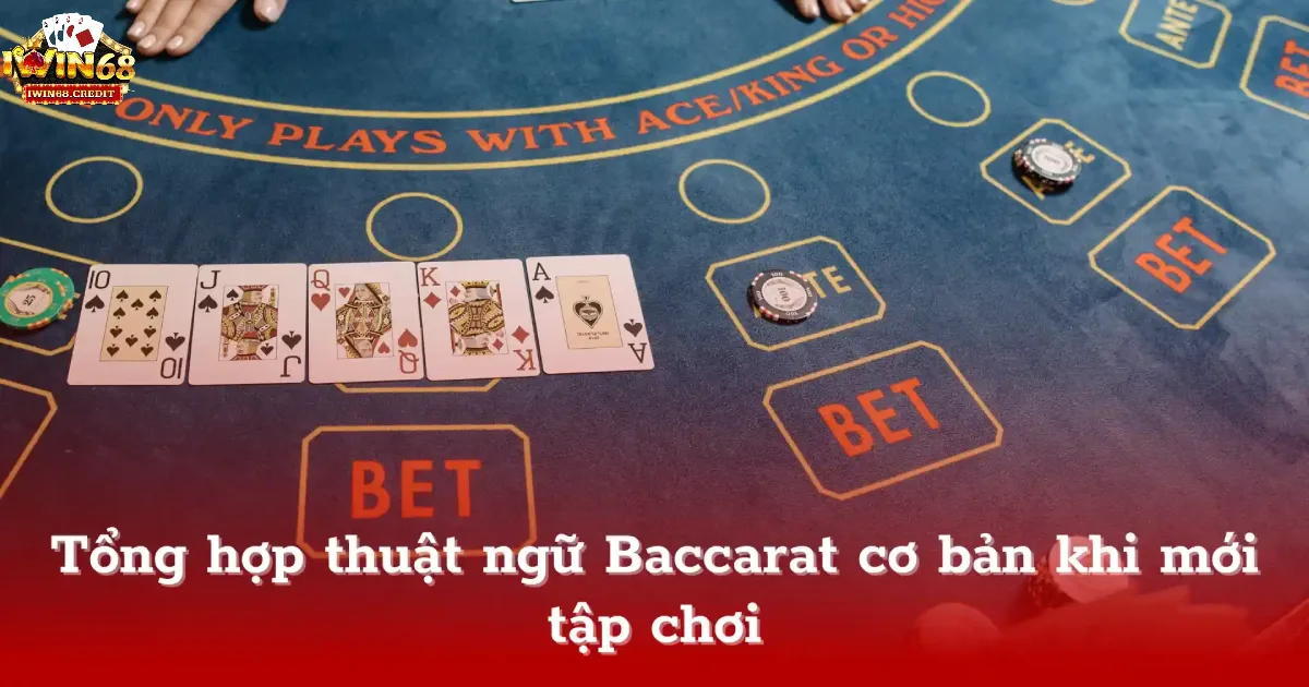Giải thích cơ bản các thuật ngữ trong Baccarat